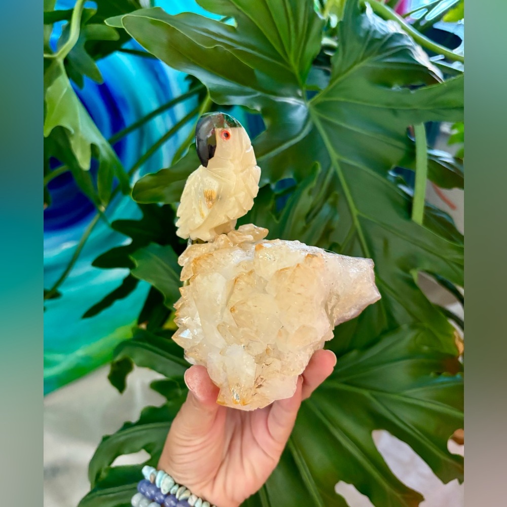 Parrot Carving on Citrine - Picture 6 of 6